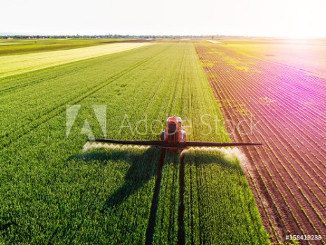 Picture of Farmer spraying green wheat field
